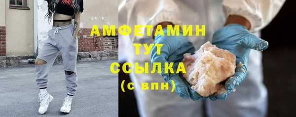 прущие грибы Гусев