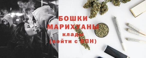 прущие грибы Гусев