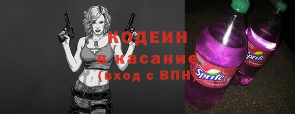 прущие грибы Гусев