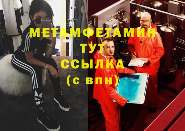 прущие грибы Гусев