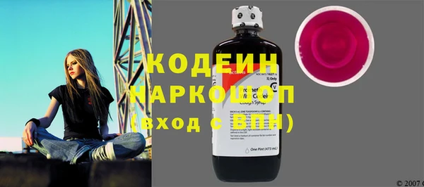 спайс Гусь-Хрустальный