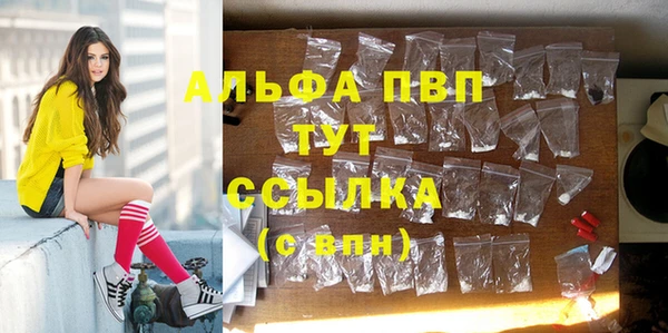 спайс Гусь-Хрустальный