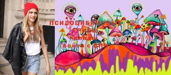 синтетический гашиш Гусиноозёрск