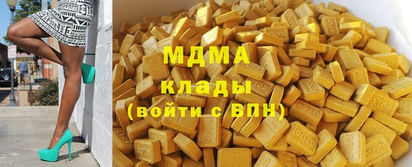 прущие грибы Гусев