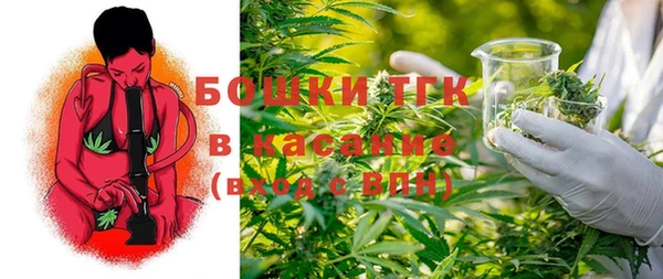спайс Гусь-Хрустальный