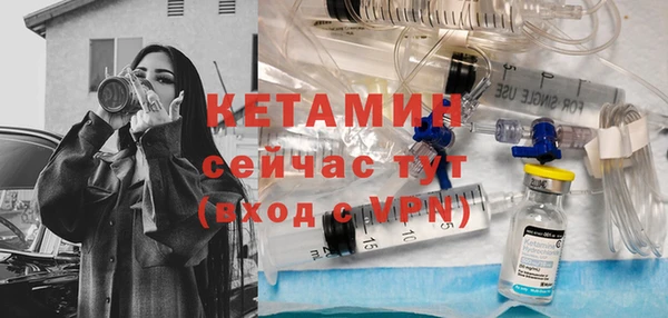 прущие грибы Гусев