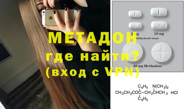 прущие грибы Гусев
