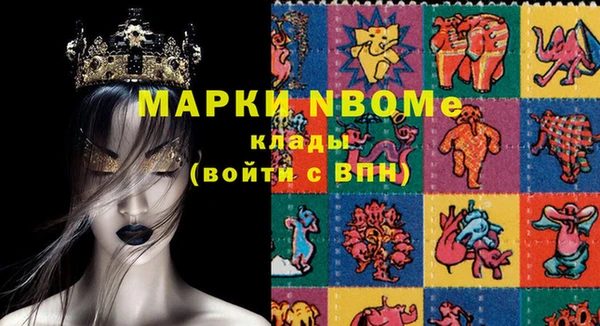 прущие грибы Гусев