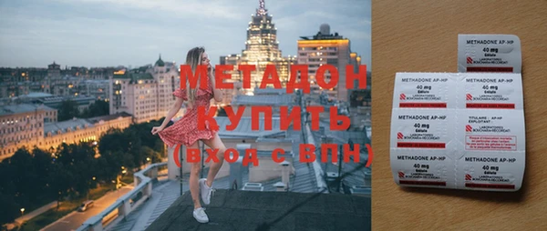 прущие грибы Гусев