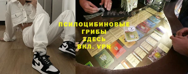 прущие грибы Гусев